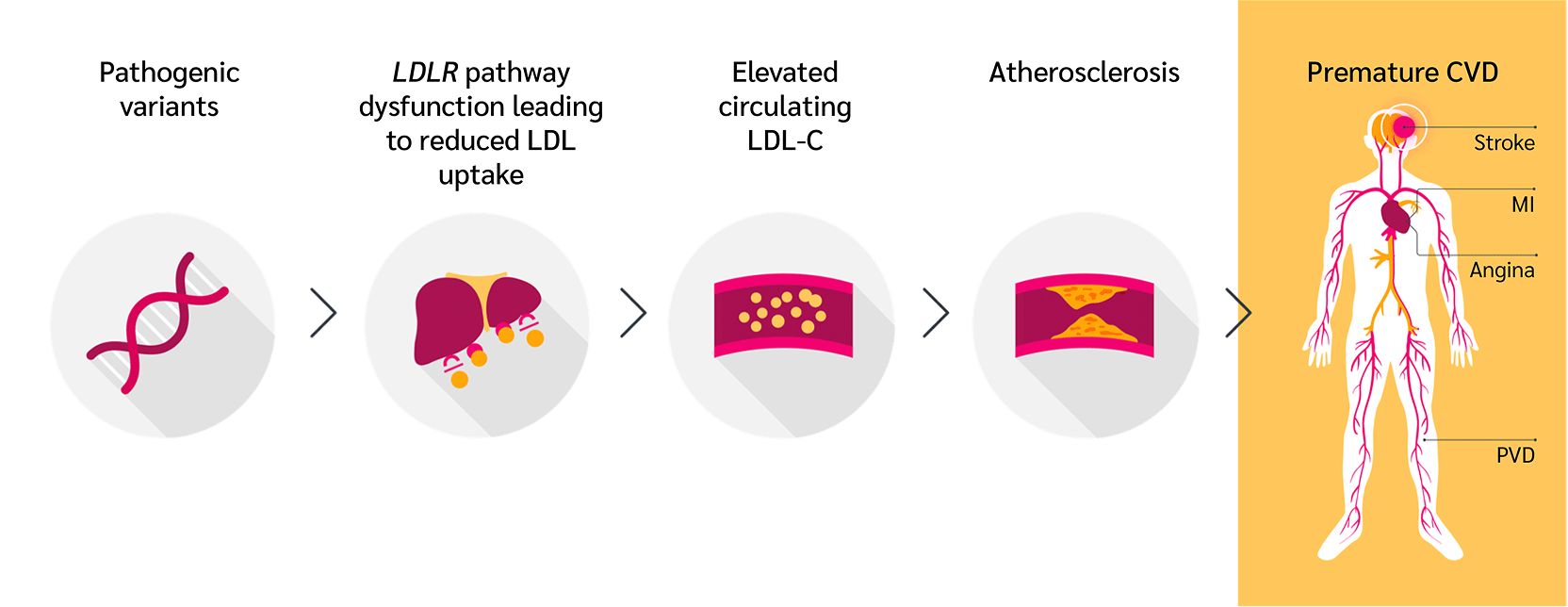 genetics-and-pathogenesis